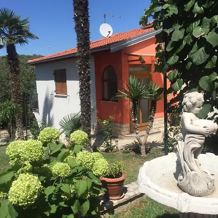 Apartament Joka 487